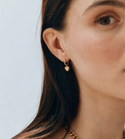 Barley Hoops