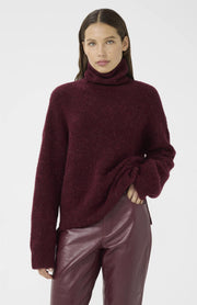 AlphaGZ rollneck