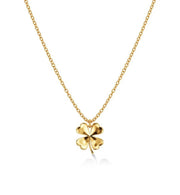 Lucky Necklace