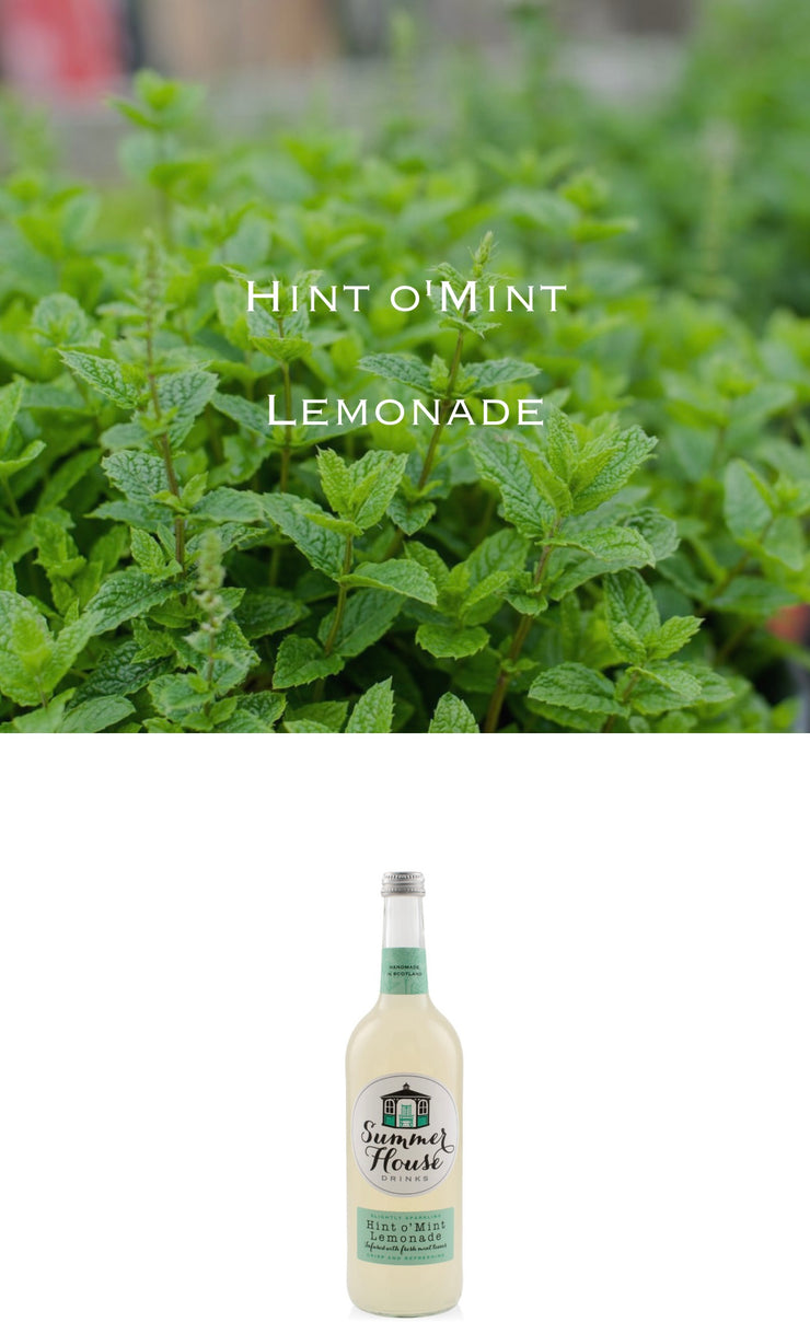 Hint o`Mint Lemonade